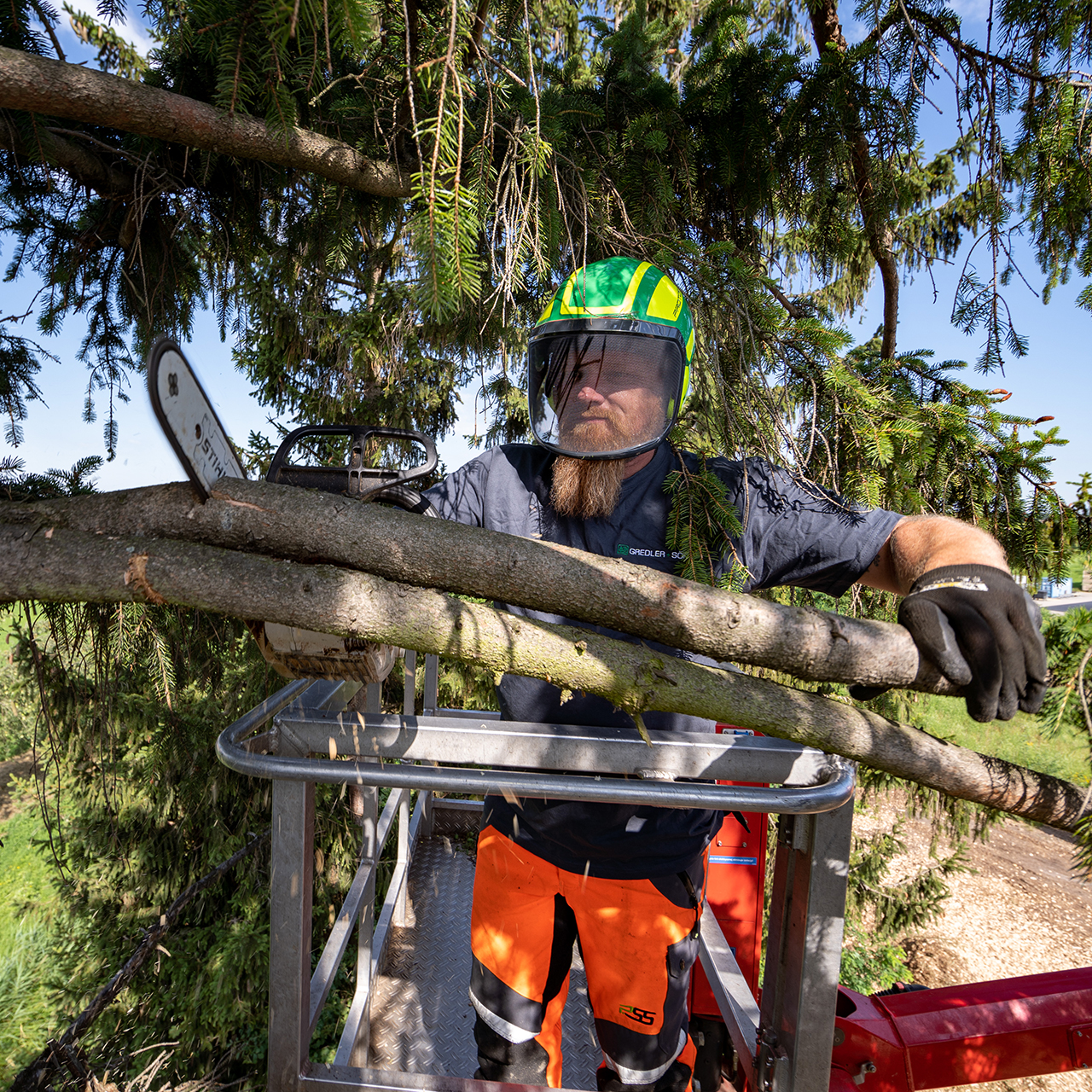 Baum fällen auf eigenem Grundstück Gredler + Söhne GmbH